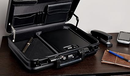 Amazon Basics Portable Security Case Lock Box