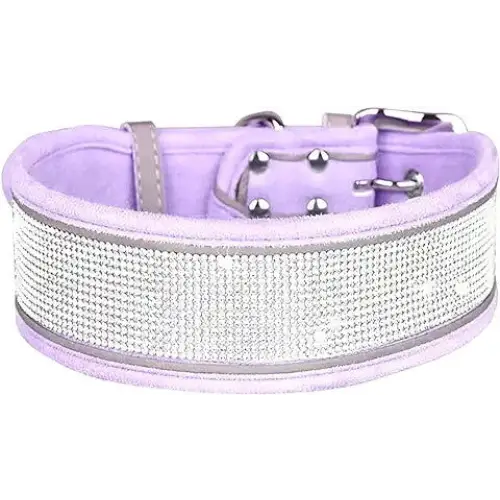 Bling Bling Dog Collar Fashion & Stylish Large