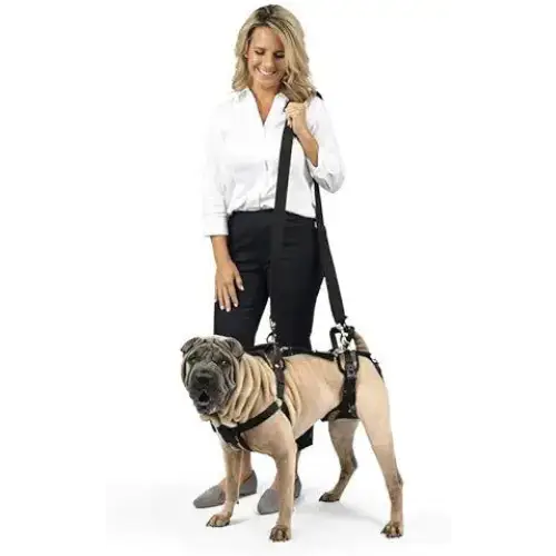 PetSafe CareLift Support Harness/Large - Full Body Lifting Aid with Handle