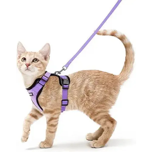 rabbitgoo Cat Harness and Leash for Walking Escape Proof Soft Adjustable Vest Harnesses for Cats