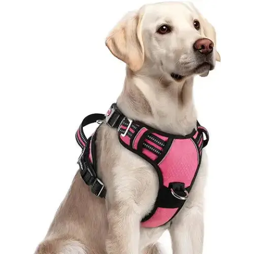 rabbitgoo-Dog Harness for Large Dogs No Pull Dog Vest Harness with 3 Buckles