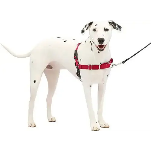 Easy Walk Harness: Stop Pulling Control your Dog