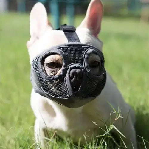 Breathable Mesh Short Dog Muzzle