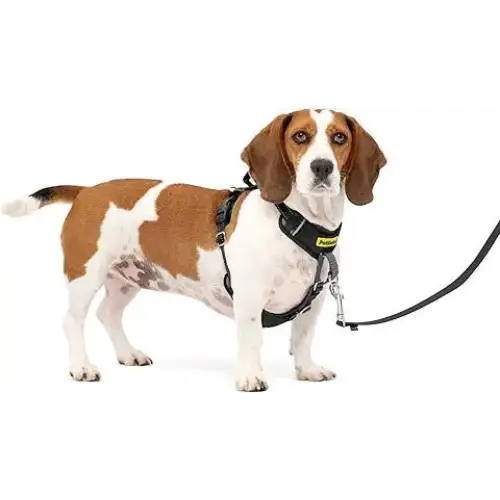 Patent-pending Dog Harness Stops Pulling