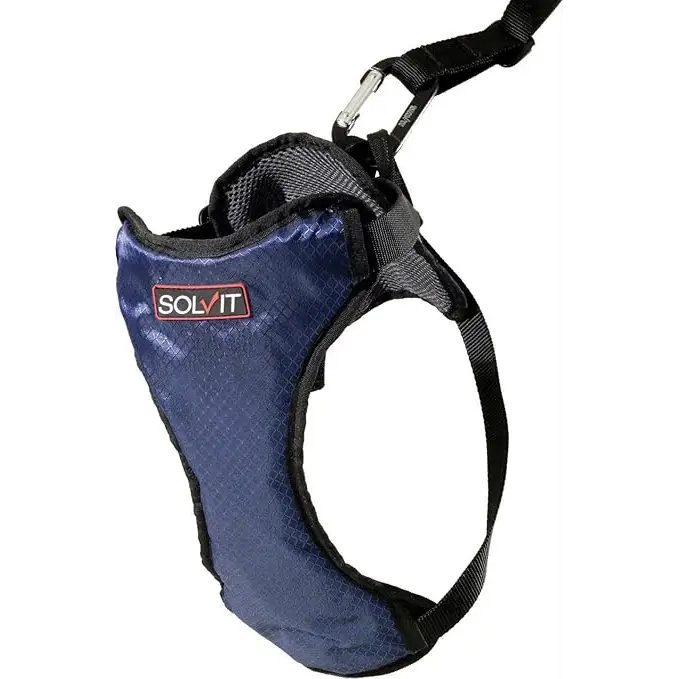 Certified Crash-tested Safety Harnesses for Dogs